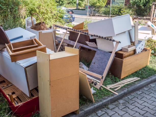 Best Demolition Debris Removal  in Fridley, MN